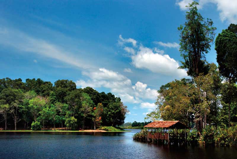 Amura,Amura World,Amura Yachts,Brunei,  Tasek Merimbun Nature Reserve.